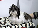 Heimtiermesse 2009   075